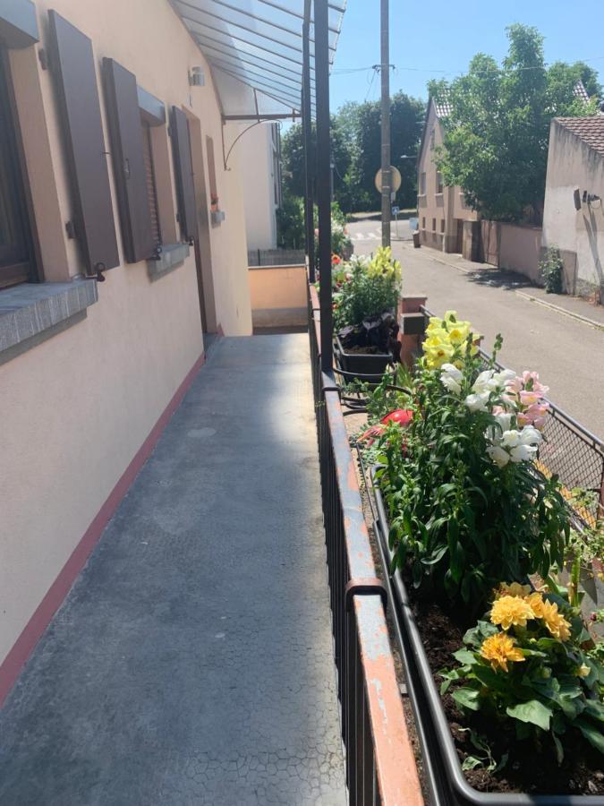 Villa Chez Georges Et Rosa Ingersheim Esterno foto